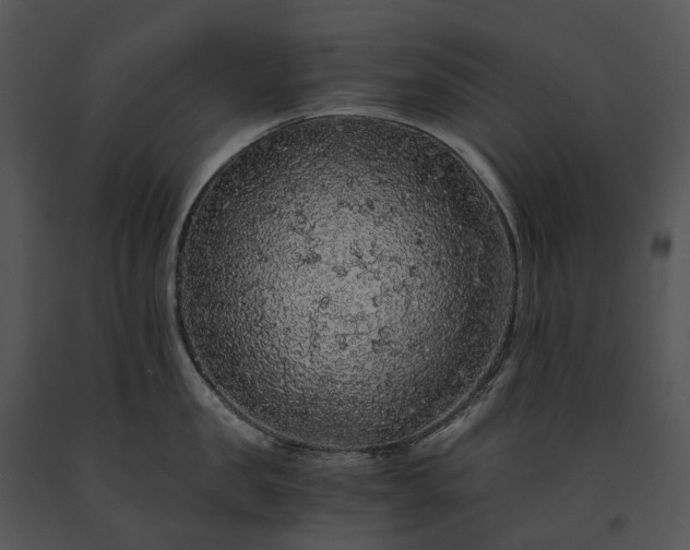X0000091680957200708301517
