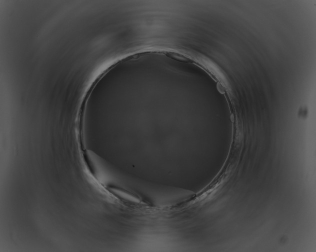 X0000091680958200708301517