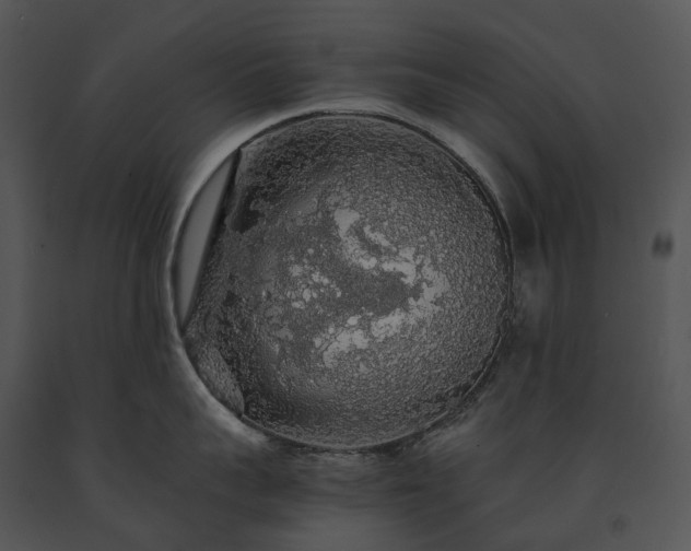 X0000091680959200708301517