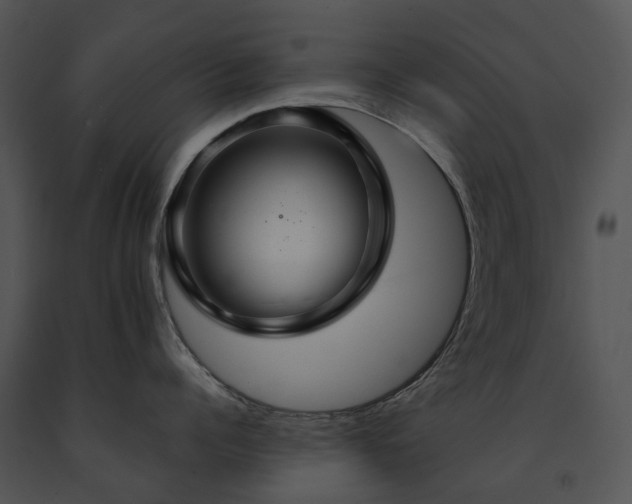 X0000091680960200708301517
