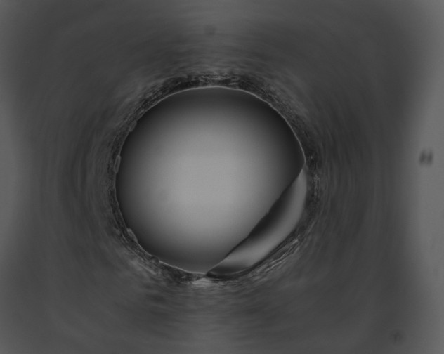 X0000091680961200708301517