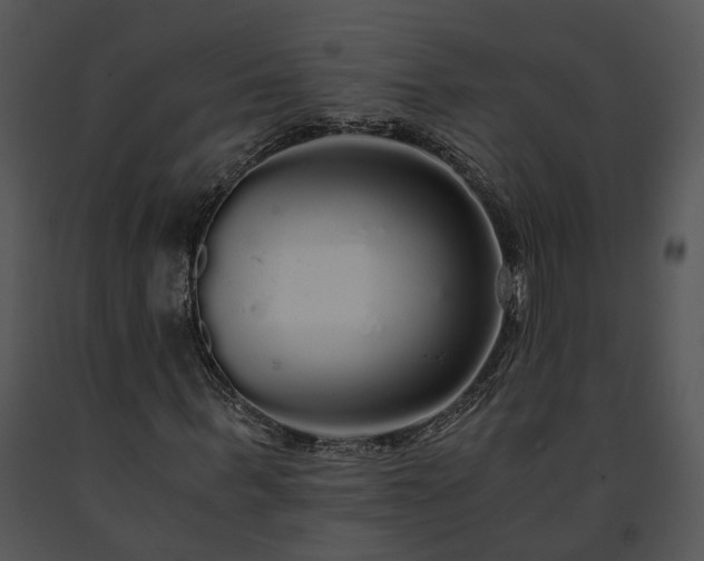 X0000091680963200708301516