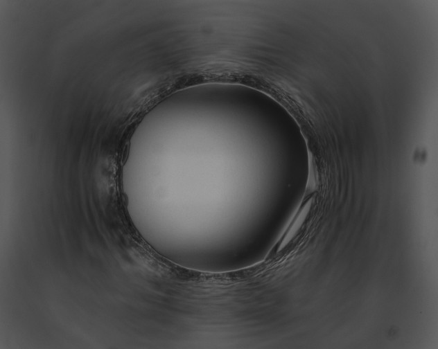 X0000091680964200708301516