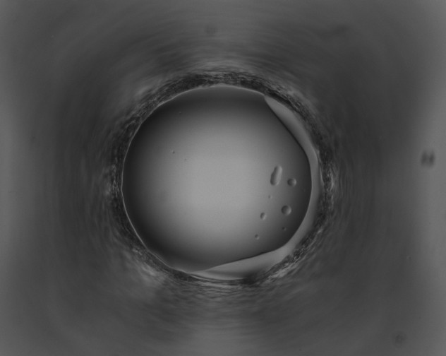 X0000091680965200708301516