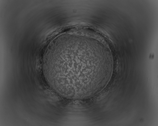 X0000091680966200708301516