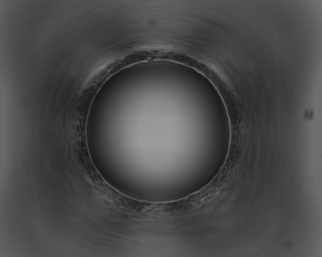 X0000091680967200708301516