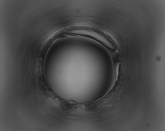 X0000091680968200708301516