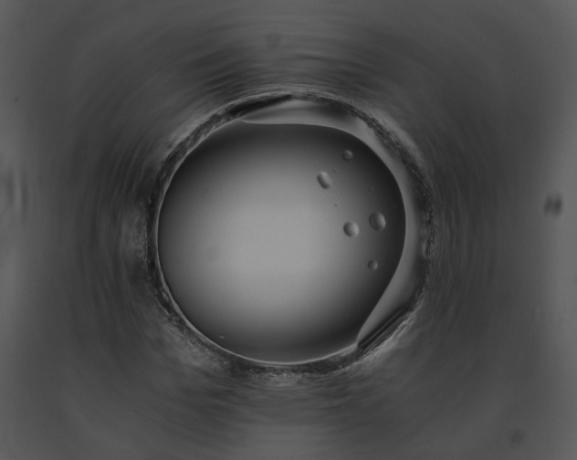 X0000091680969200708301516