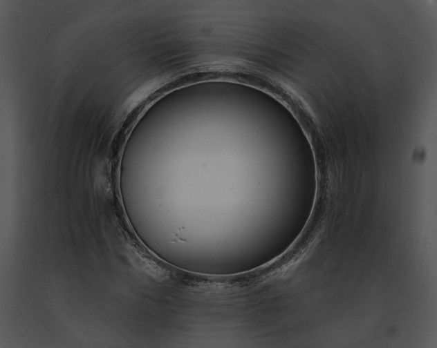 X0000091680970200708301516