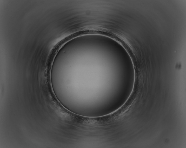 X0000091680971200708301516