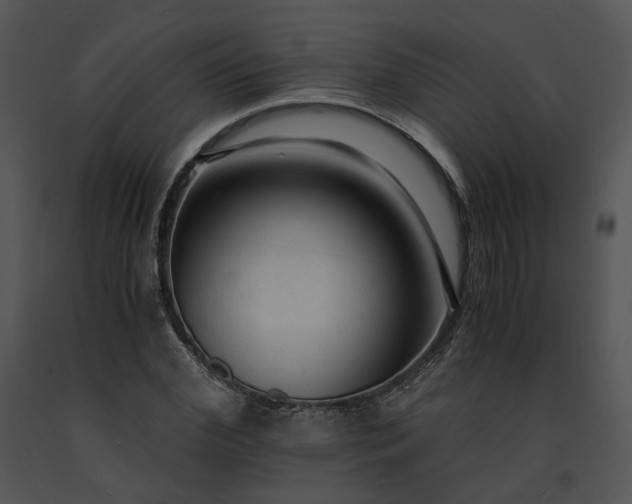 X0000091680972200708301516