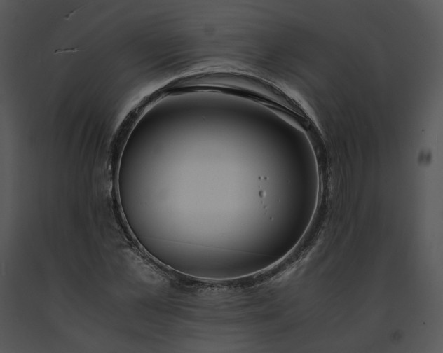 X0000091680973200708301516