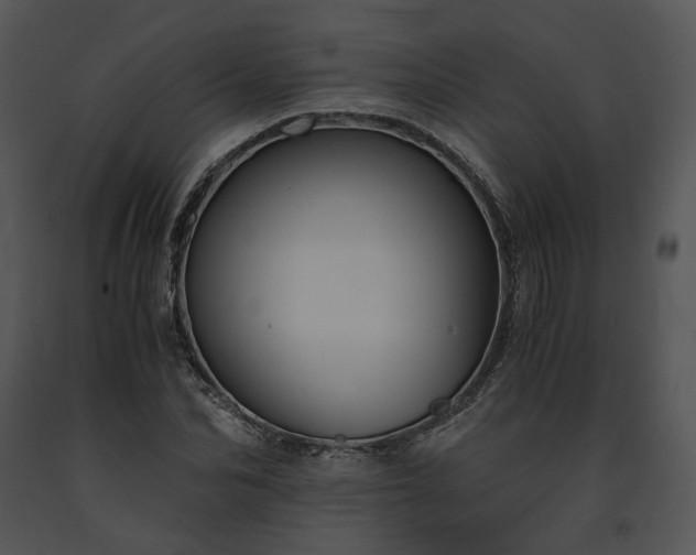 X0000091680974200708301516