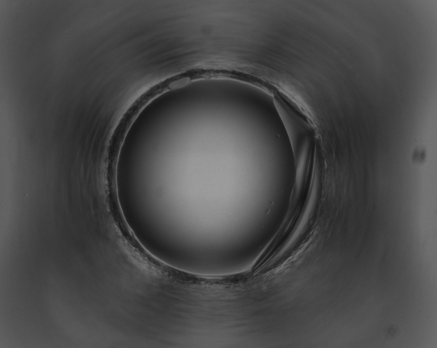 X0000091680976200708301516
