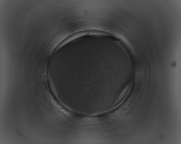 X0000091680977200708301516