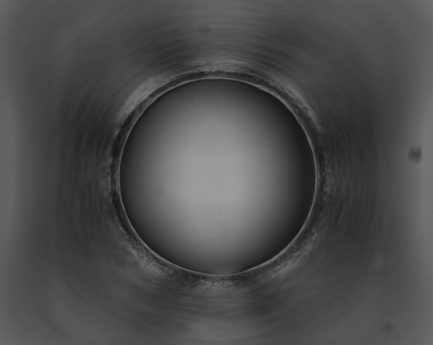 X0000091680978200708301516