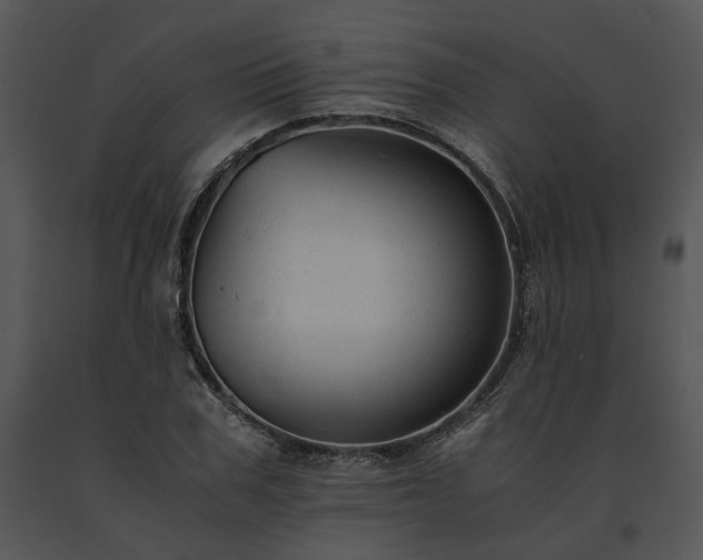 X0000091680979200708301516