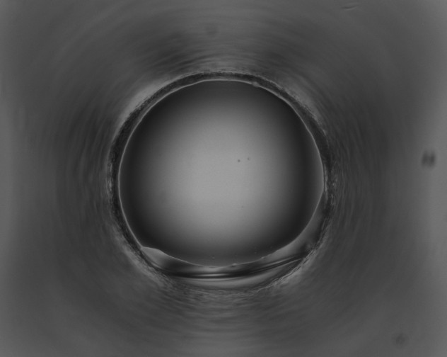 X0000091680981200708301516
