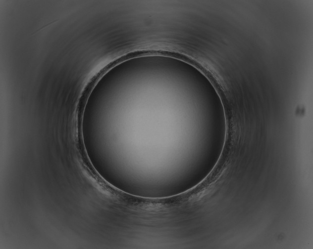 X0000091680982200708301516