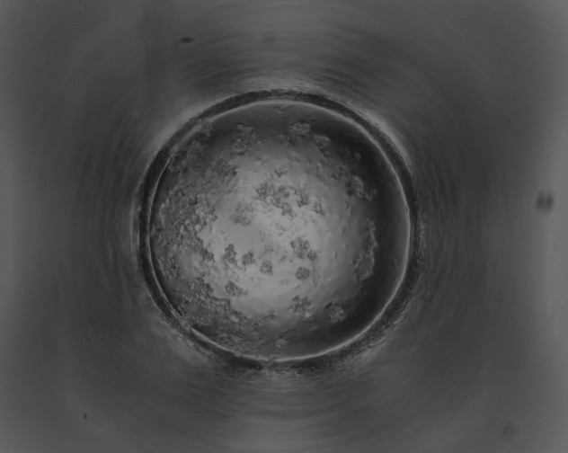 X0000091680983200708301516