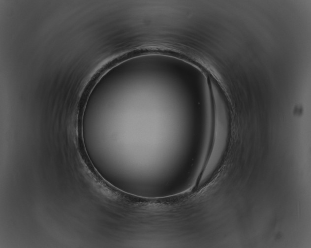 X0000091680984200708301516