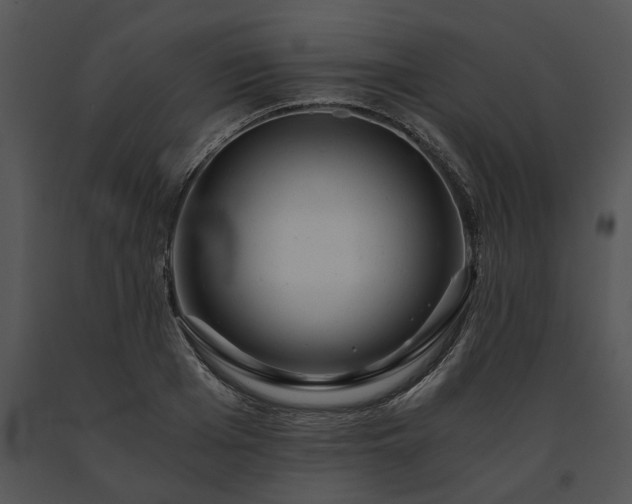 X0000091680985200708301516