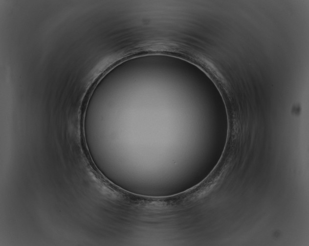 X0000091680986200708301516
