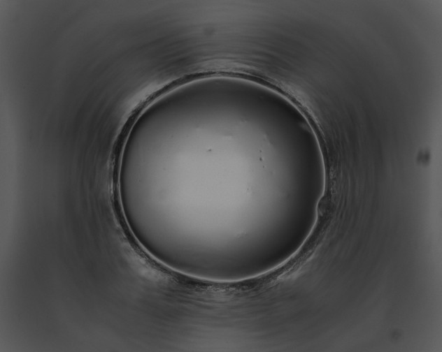 X0000091680987200708301516