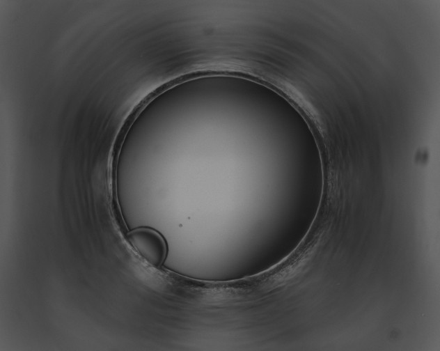 X0000091680988200708301516