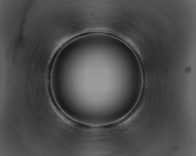 X0000091680989200708301516