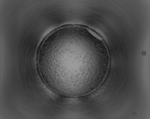 X0000091680990200708301516