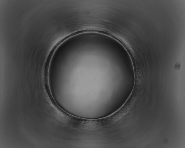 X0000091680991200708301516