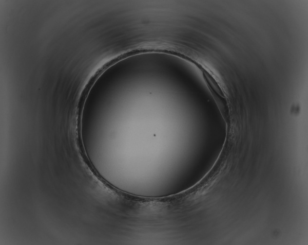 X0000091680992200708301516