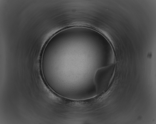 X0000091680995200708301516