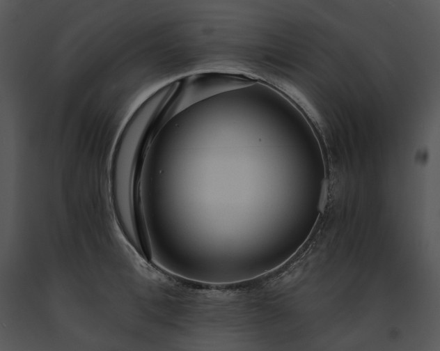 X0000091680996200708301516