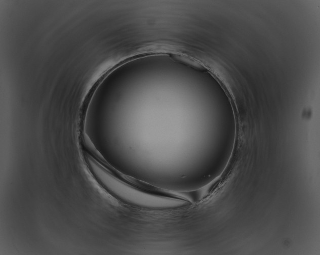 X0000091680997200708301516