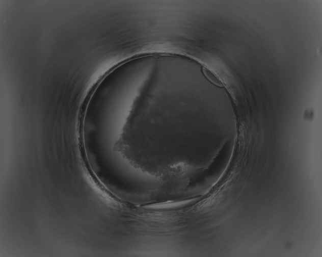 X0000091680998200708301516
