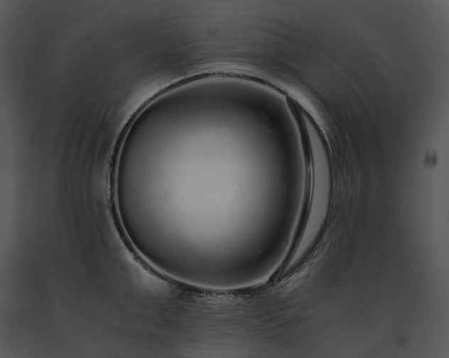 X0000091680999200708301516
