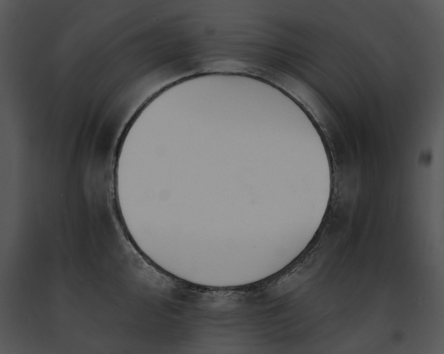 X0000091681000200708301516