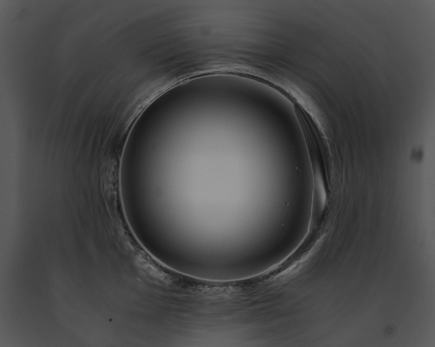 X0000091681001200708301516