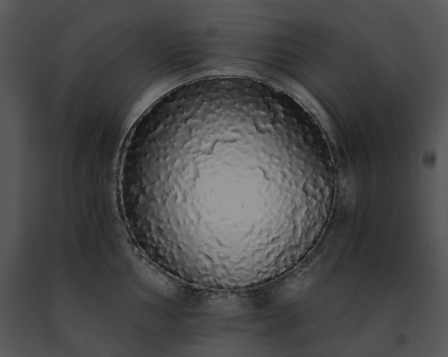 X0000091681002200708301516