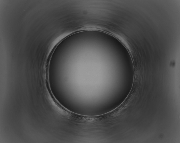 X0000091681003200708301516