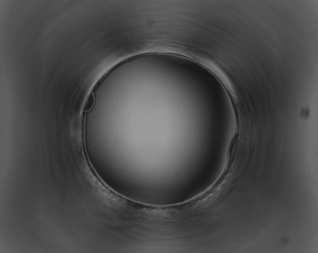X0000091681004200708301516