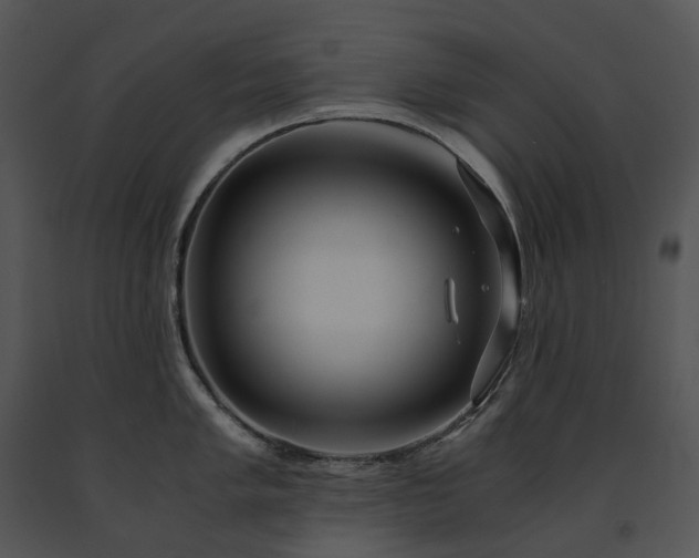 X0000091681005200708301516