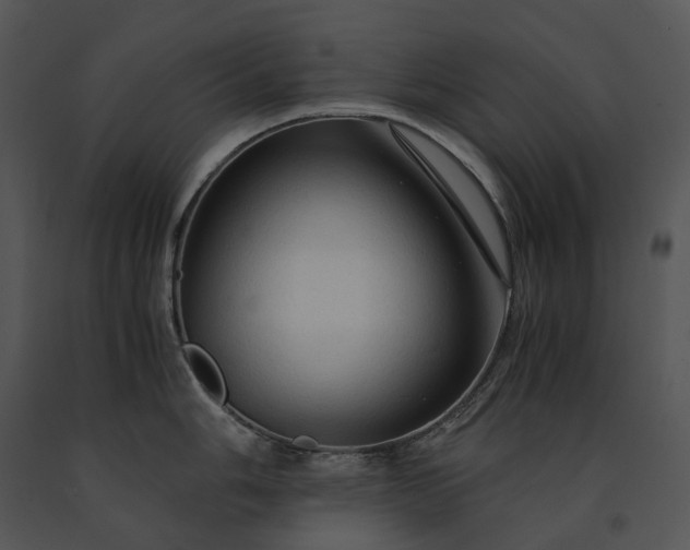 X0000091681006200708301516