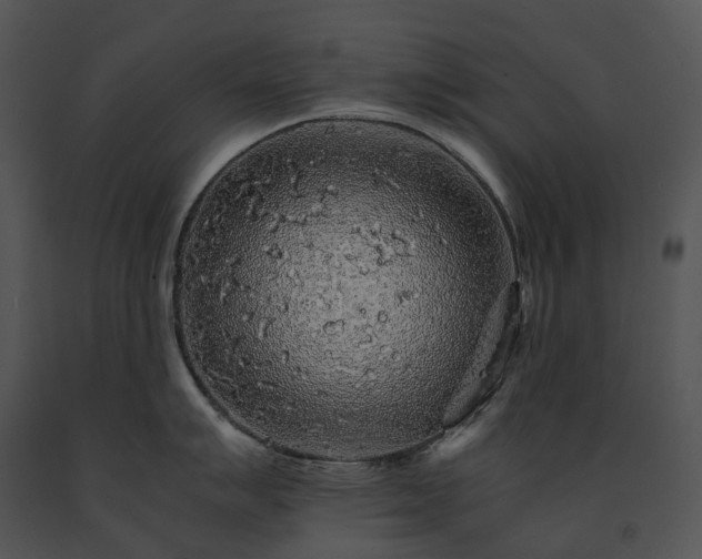 X0000091681007200708301516