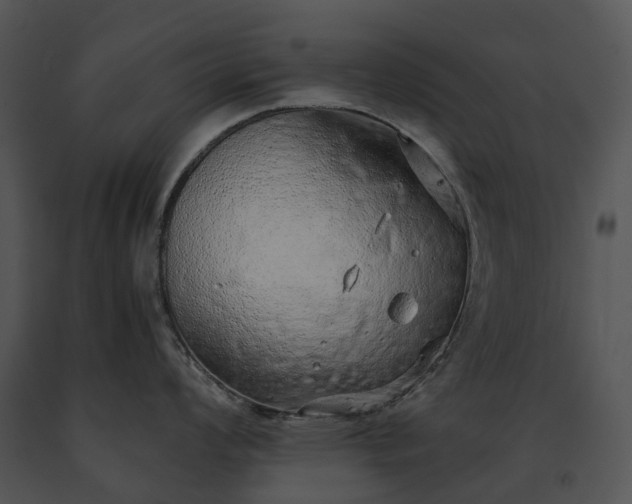 X0000091681008200708301516