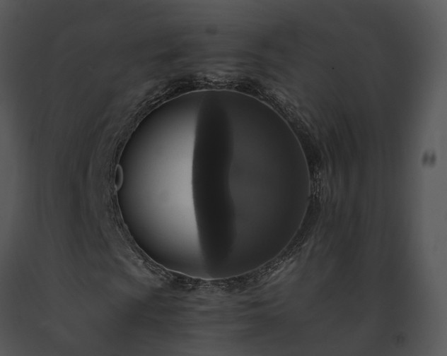 X0000091681009200708301515