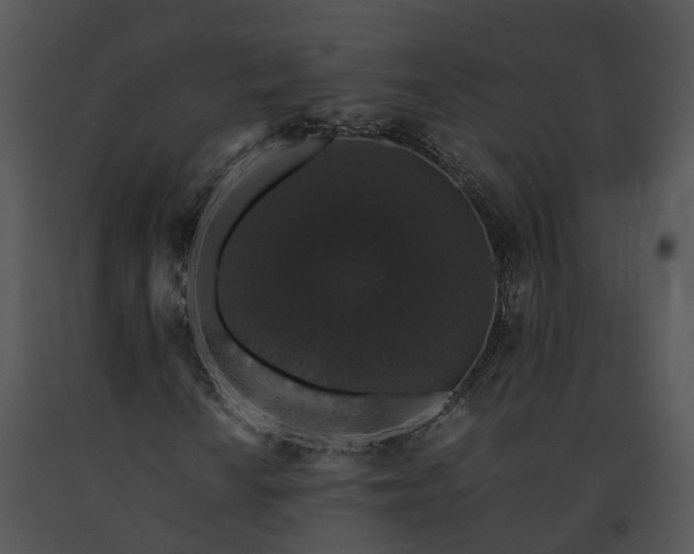 X0000091681010200708301515