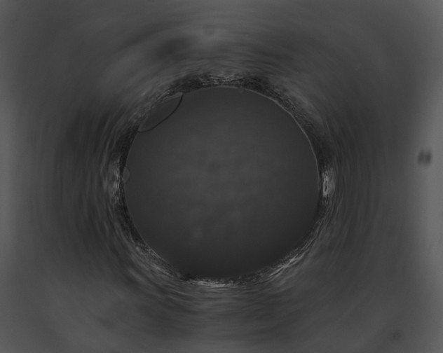 X0000091681011200708301515